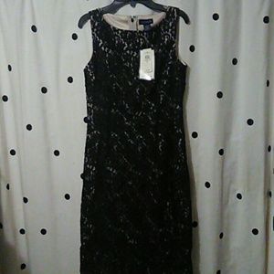 ANNE TAYLOR Size 2 Dress